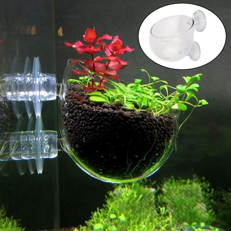 Aquarium Innovative Marine - Dekorasi Akuarium Pot Cangkir Tanaman Cangkir