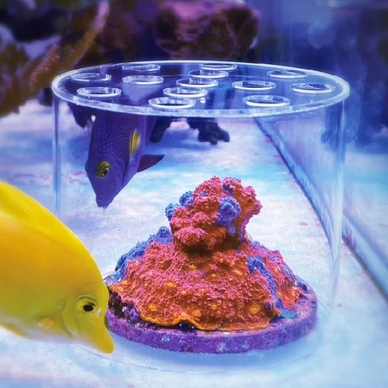 Coral Frag Plug - Alat Penambah Pupuk Cair Vastocean Aquarium