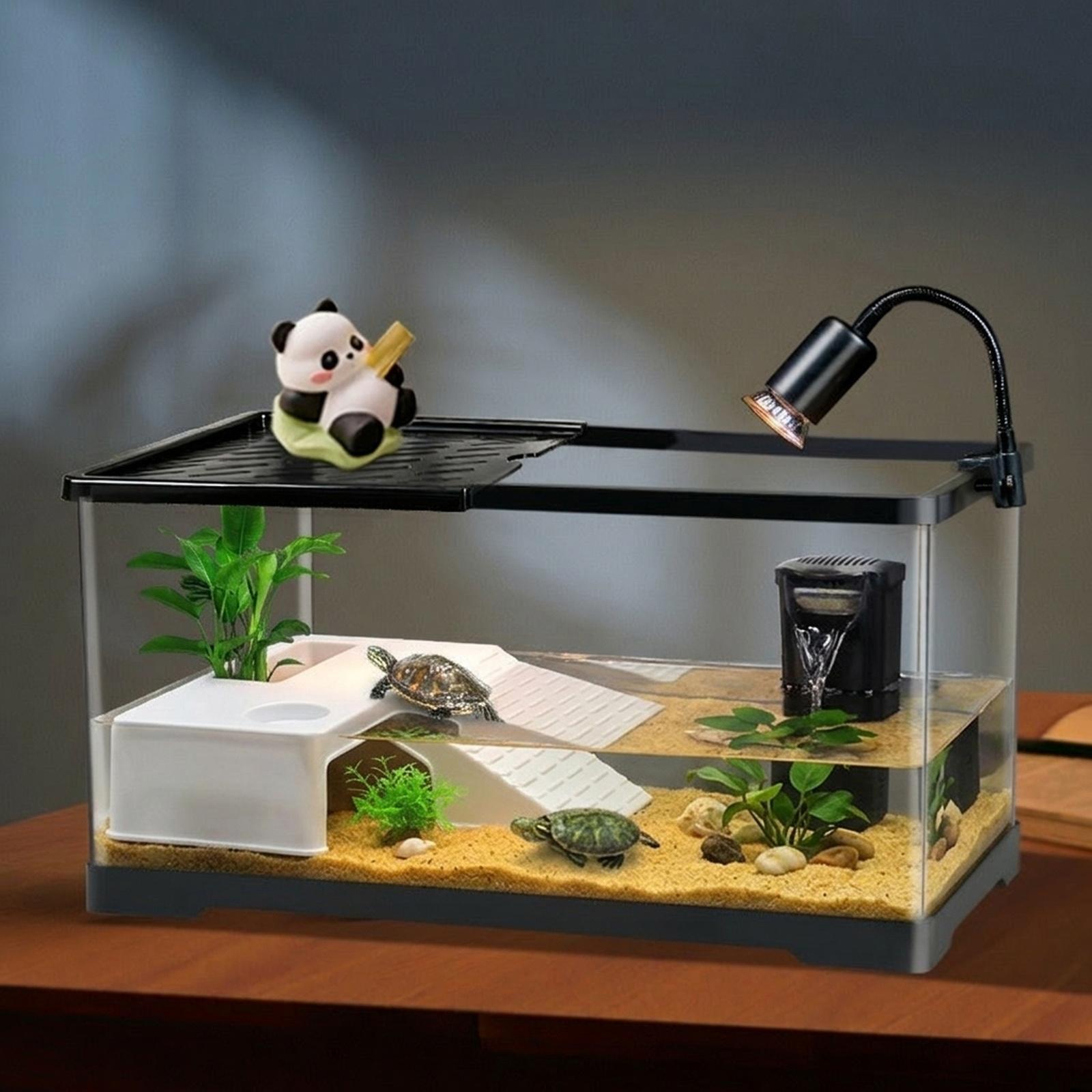 Aquarium Innovative Marine - Platform Istirahat Kura-Kura, Dekorasi Teras Istirahat,