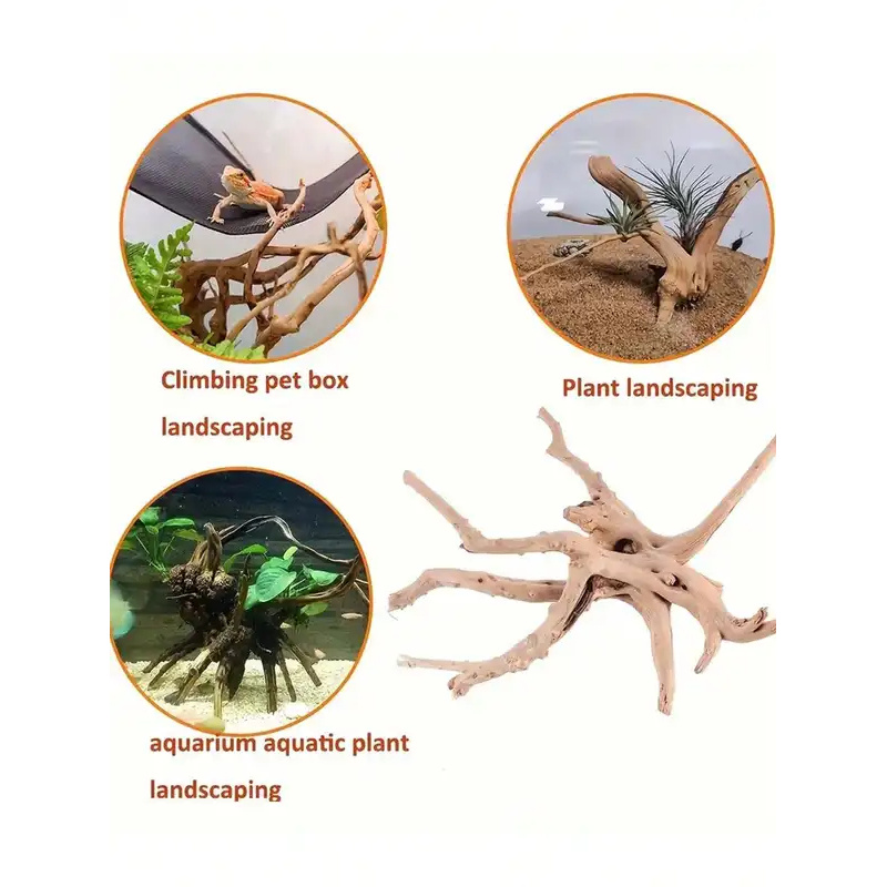 Kayu Apung Alami untuk Dekoras - Aquarium Innovative Marine ulasan dan harga