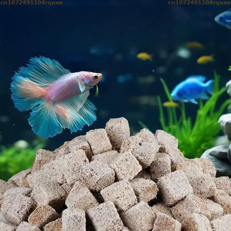Cacing Darah Beku Kering Alami - Marine Aquarium Worms ulasan dan harga