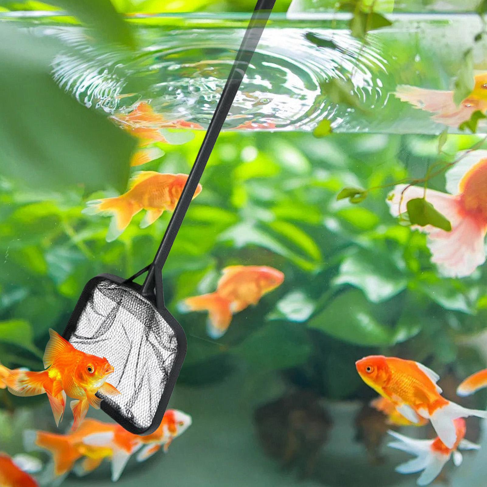 Jaring Kolam Renang untuk Memb - Marine Aquarium Equipment ulasan dan harga