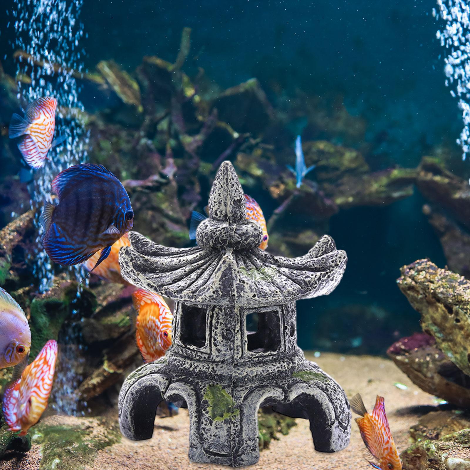 Ornamen akuarium aksesoris aku - Aquarium Innovative Marine ulasan dan harga