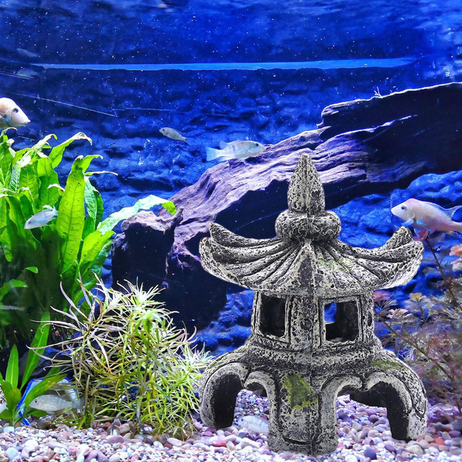 Ornamen akuarium aksesoris aku - Aquarium Innovative Marine ulasan dan harga