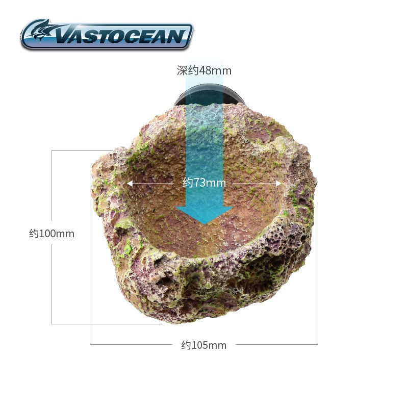 VASTOCEAN Tempat Anemon Magnet - Coral Frag Plug ulasan dan harga