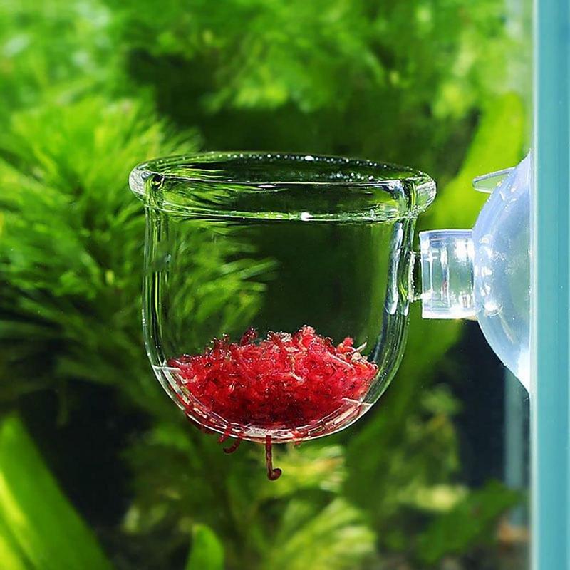 Dekorasi Akuarium Pot Cangkir  - Aquarium Innovative Marine ulasan dan harga