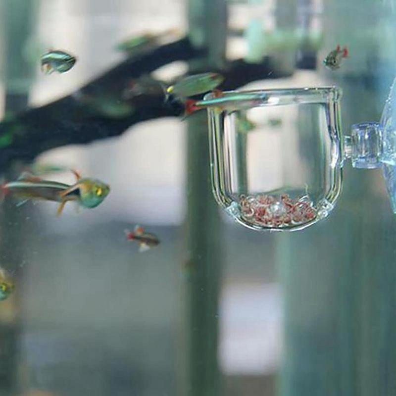 Dekorasi Akuarium Pot Cangkir  - Aquarium Innovative Marine ulasan dan harga