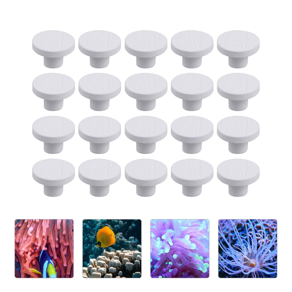Alas Keramik SPS untuk Coral F - Coral Frag Plug ulasan dan harga