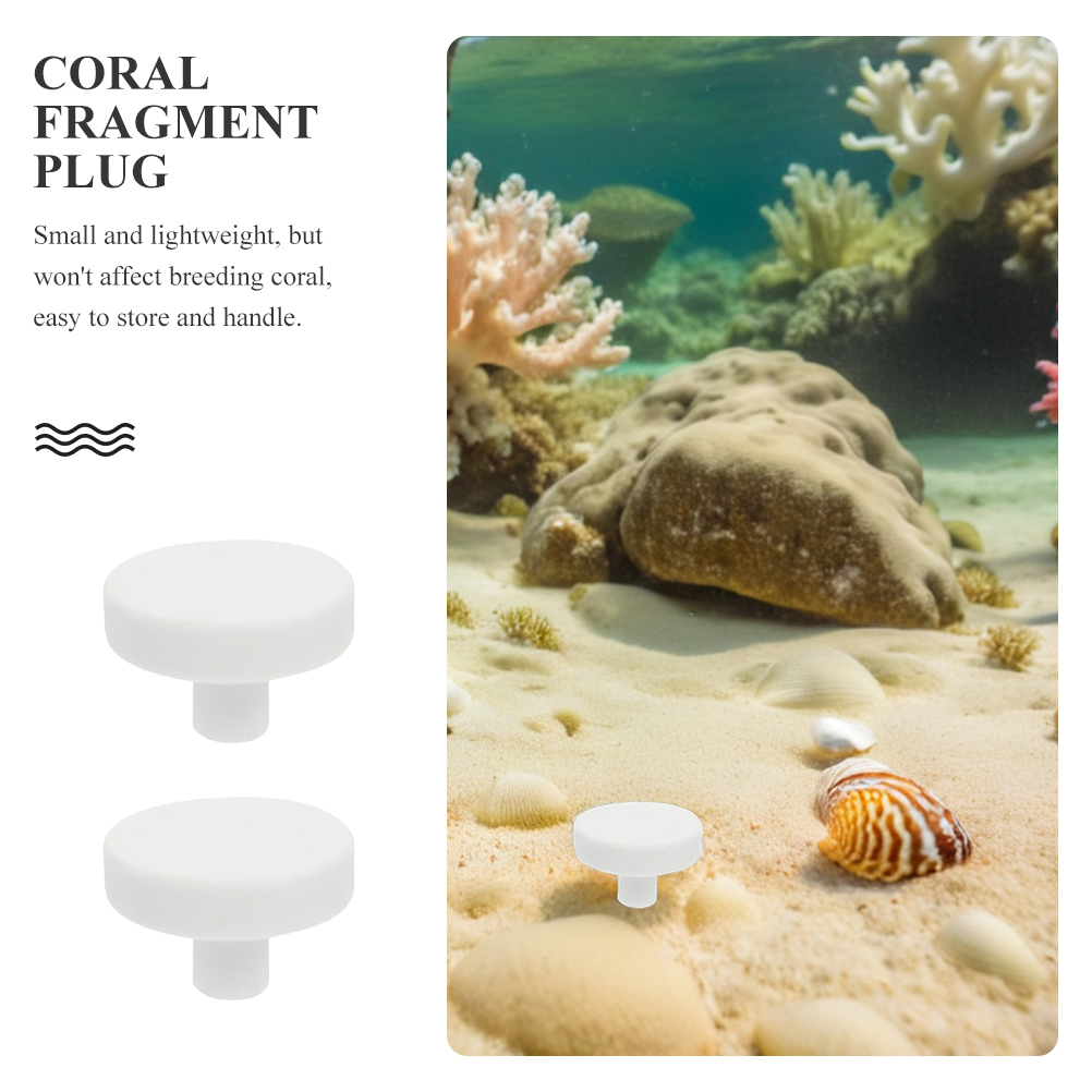 20 Buah Penyangga Karang Akuar - Coral Frag Plug ulasan dan harga