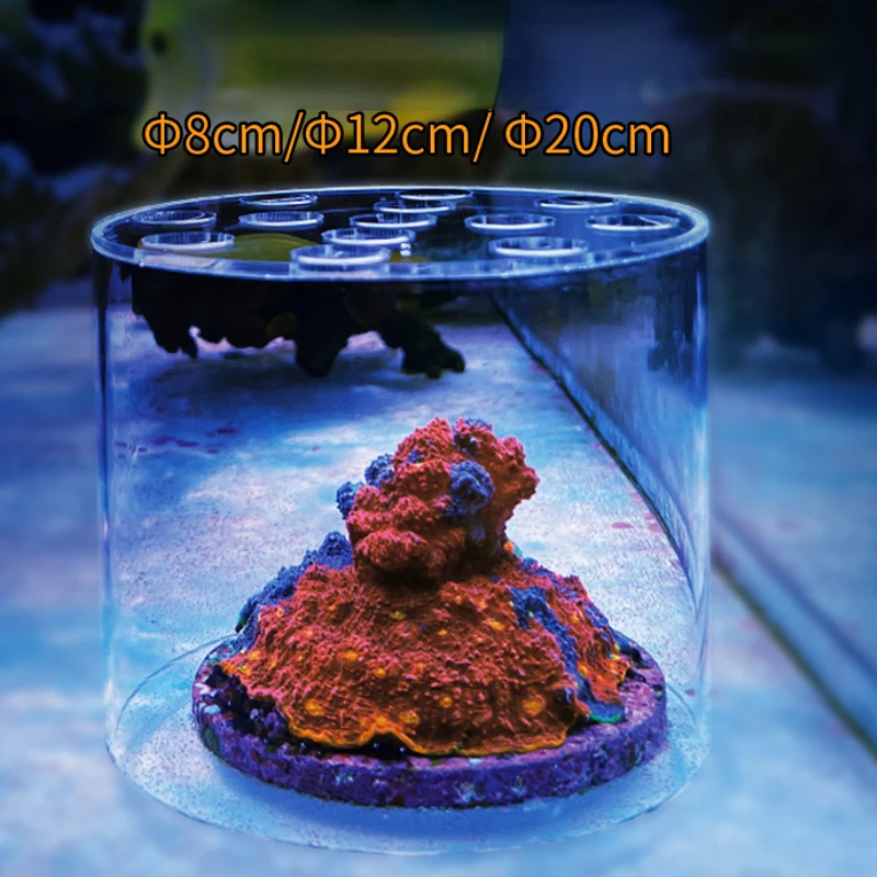 Alat Penambah Pupuk Cair Vasto - Coral Frag Plug ulasan dan harga