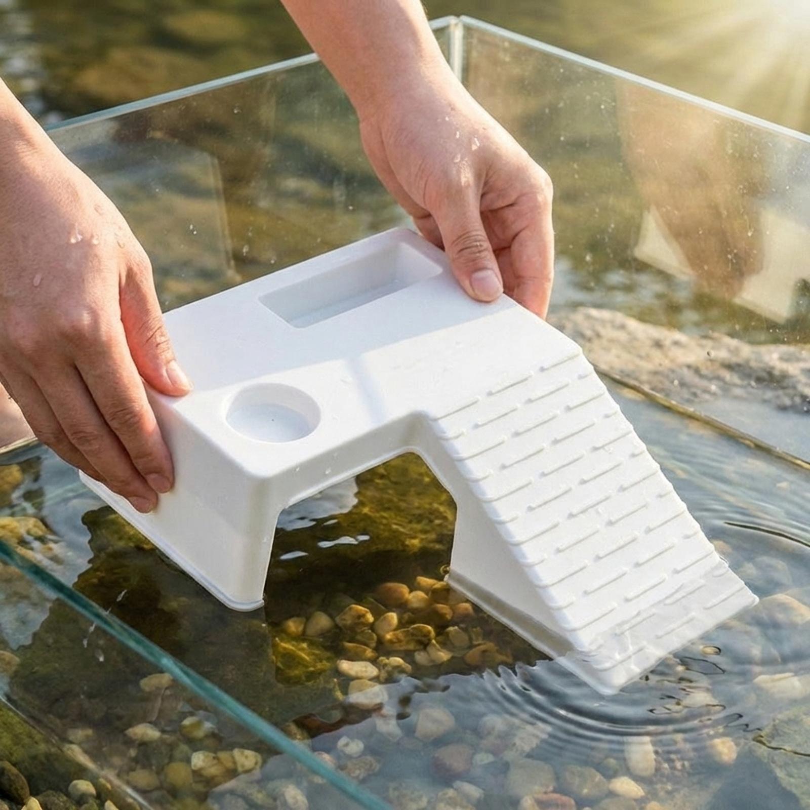 Platform Istirahat Kura-Kura,  - Aquarium Innovative Marine ulasan dan harga
