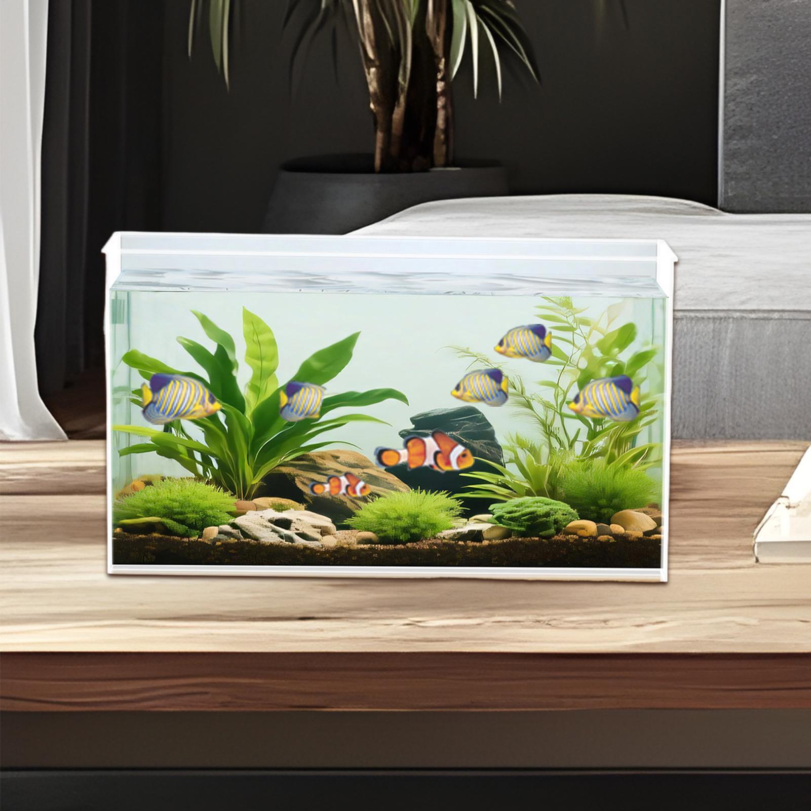 Akuarium Ikan Kecil, Akuarium  - Marine Aquarium Kit ulasan dan harga