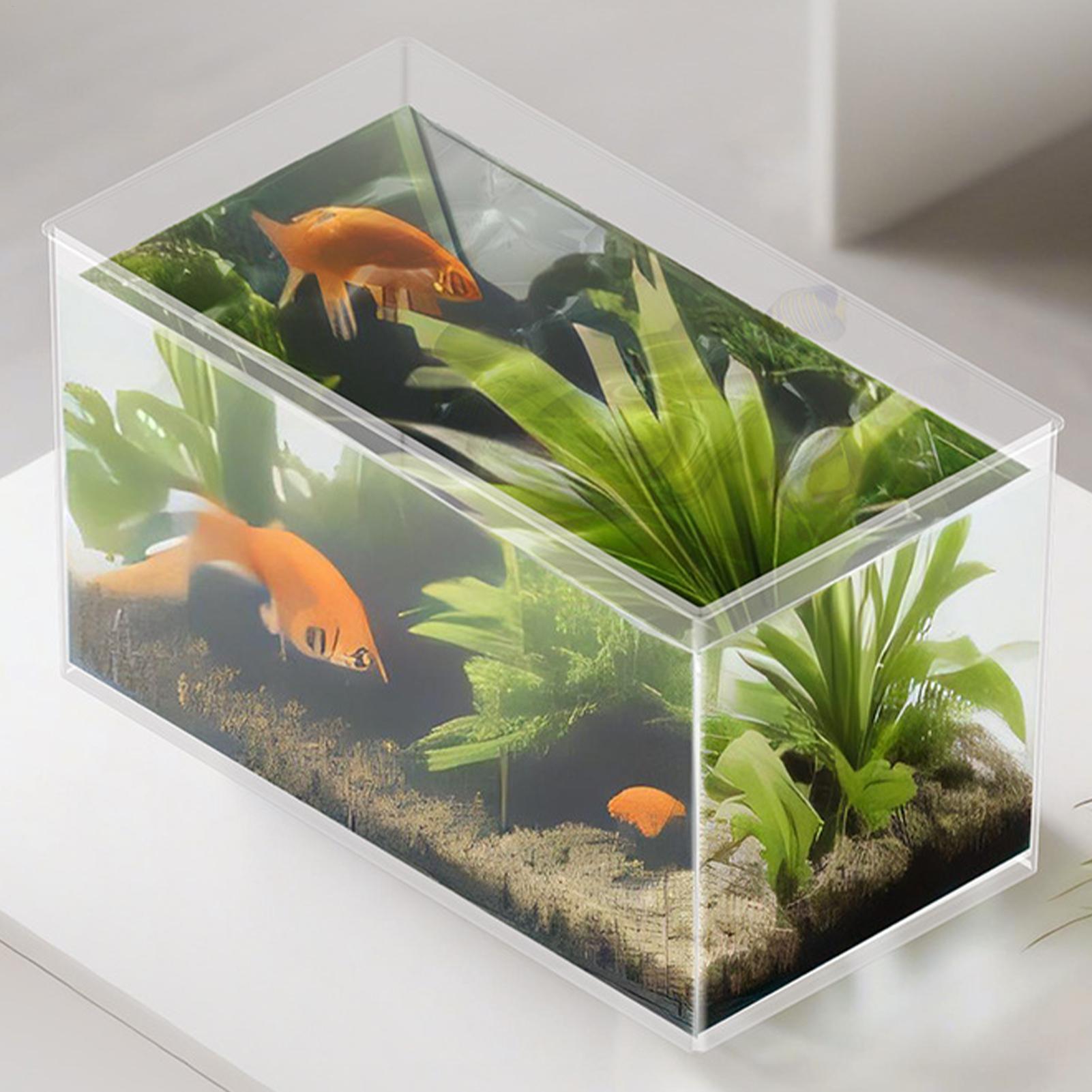Akuarium Ikan Kecil, Akuarium  - Marine Aquarium Kit ulasan dan harga
