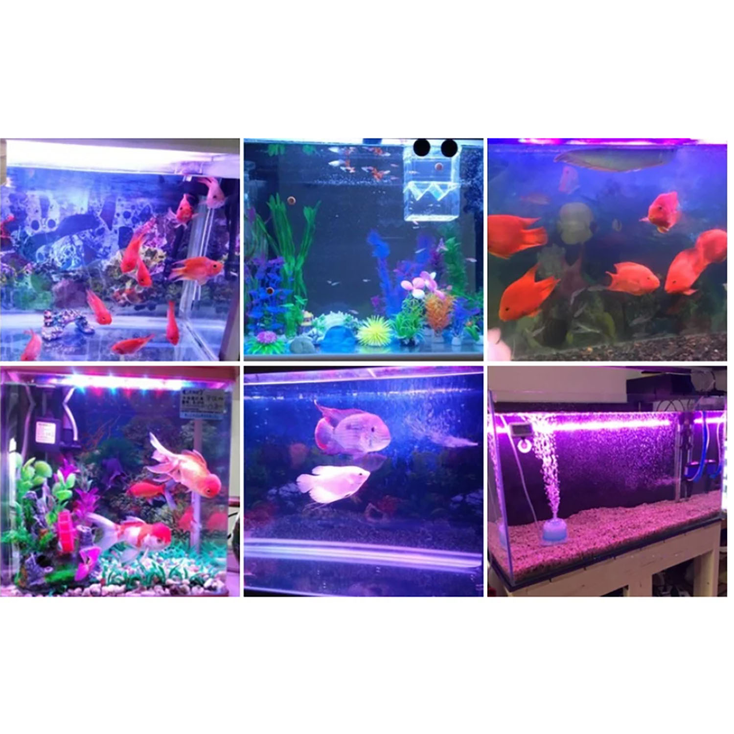 50W 60W 70W 100W RGB 26-28V La - Marine Aquarium Uv ulasan dan harga