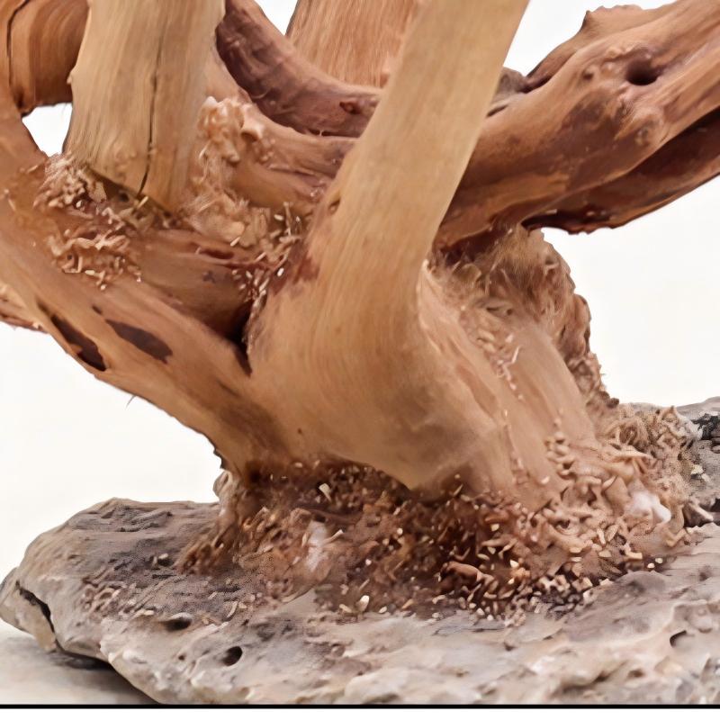 1 Buah Hiasan Kayu Lanskap Aku - Aquarium Innovative Marine ulasan dan harga