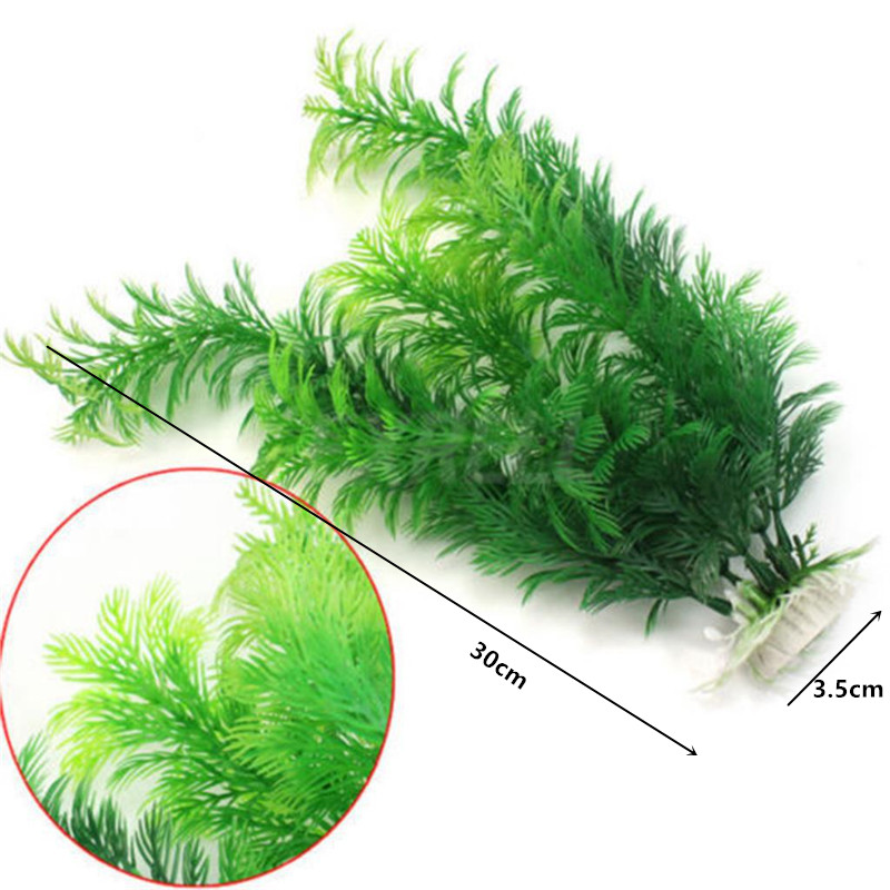 14cm - 30cm Tanaman Akuarium P - Aquarium Innovative Marine ulasan dan harga