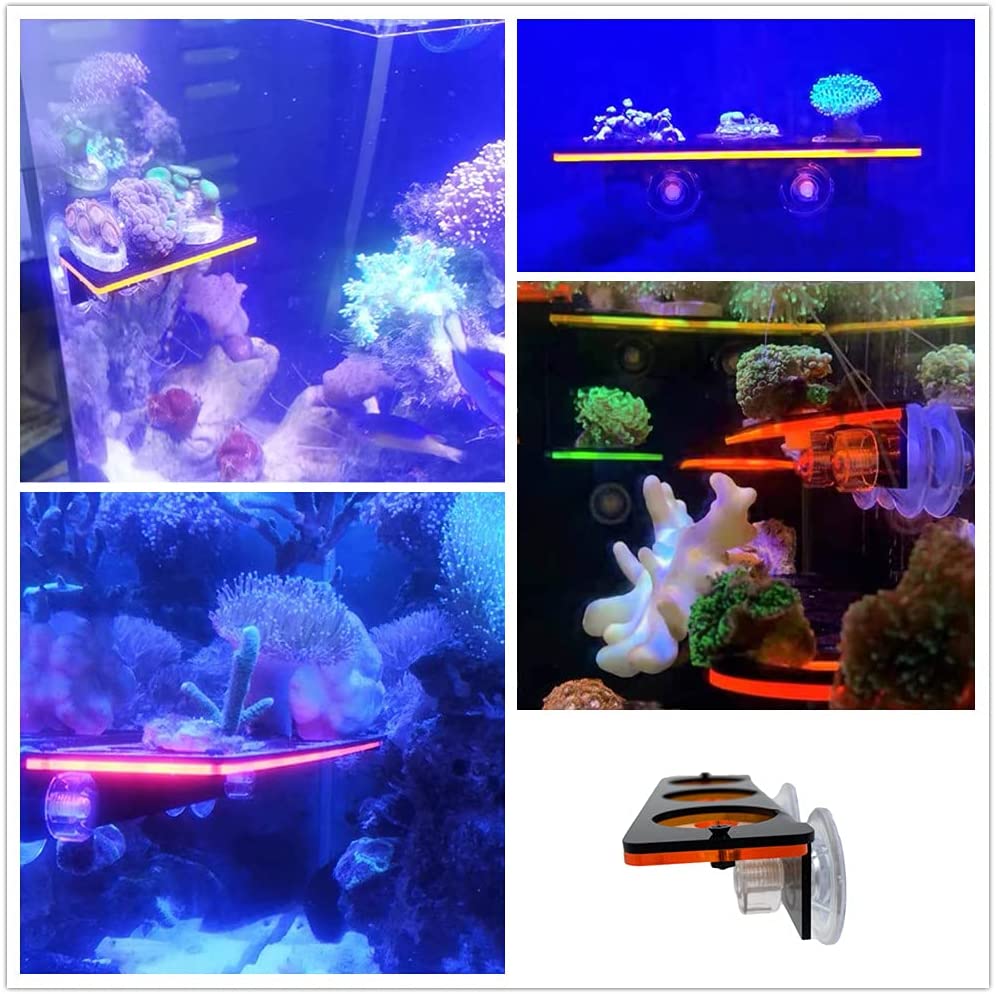 Braket penumbuh karang neon, r - Coral Frag Plug ulasan dan harga