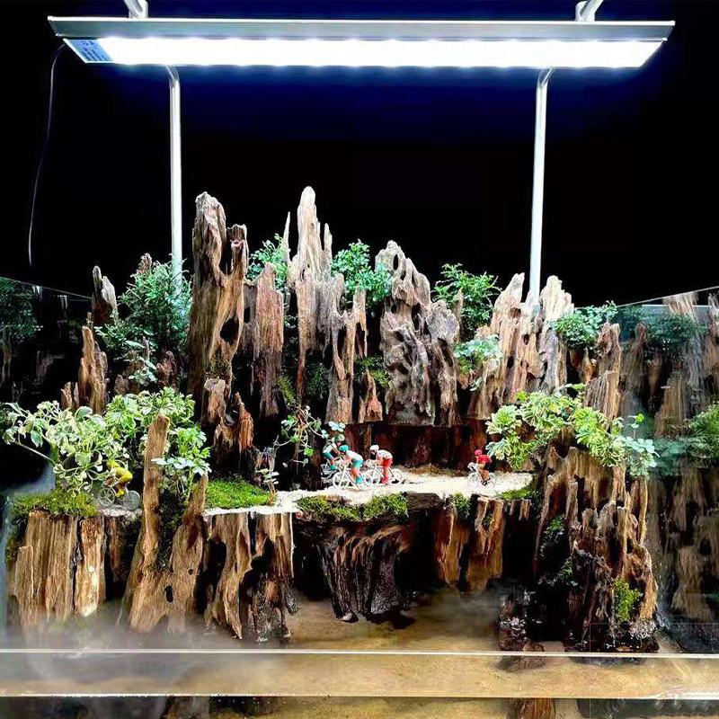 △   Dekorasi Akuarium Kayu Uda - Aquarium Innovative Marine ulasan dan harga