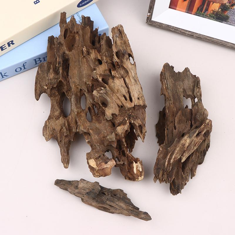 △   Dekorasi Akuarium Kayu Uda - Aquarium Innovative Marine ulasan dan harga
