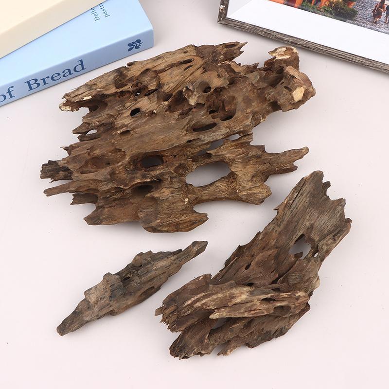 △   Dekorasi Akuarium Kayu Uda - Aquarium Innovative Marine ulasan dan harga